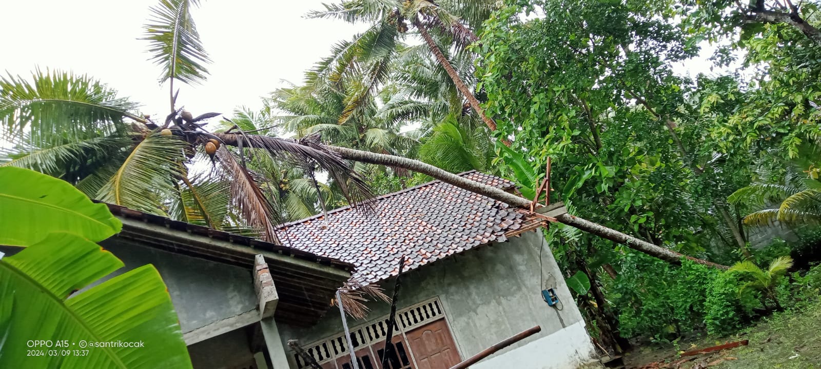 Angin Kencang Terjang Kalurahan Bugel, Tidak Kurang 7 Rumah Warga Rusak